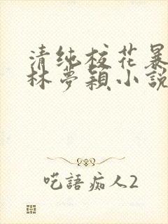 清纯校花暴露记林梦颖小说免费阅读封面