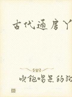 古代通房丫鬟