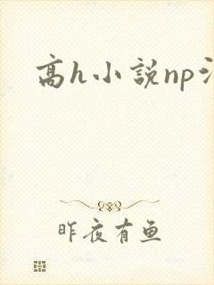 高h小说np污