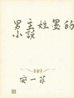 男主姓墨的总裁小说