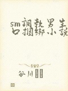 sm调教男生重口捆绑小说