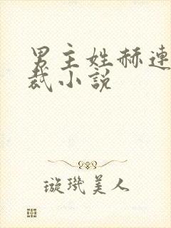 男主姓赫连的总裁小说