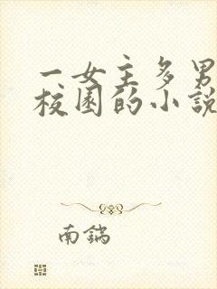 一女主多男主的校园的小说