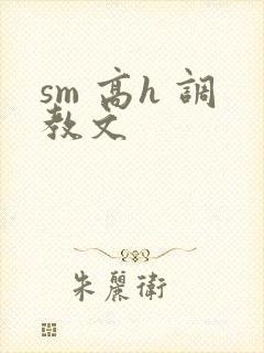 sm 高h 调教文封面
