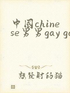 中国chinese男男gay gay网站