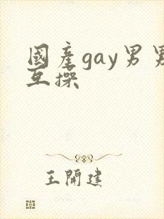 国产gay男男互操
