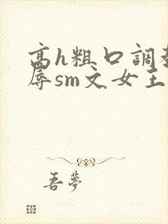 高h粗口调教羞辱sm文女王