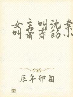 女主叫沈棠男主叫萧霁的小说