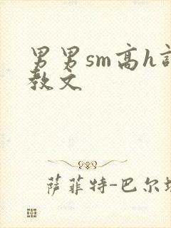 男男sm高h调教文