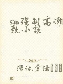 sm强制高潮调教小说