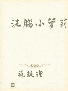 洗脑小箩莉h文