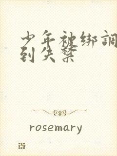 少年被绑调教爽到失禁