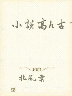 小说高h古言