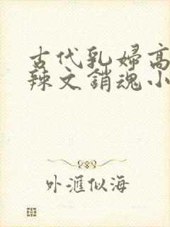 古代乳妇高h肉辣文销魂小妾封面
