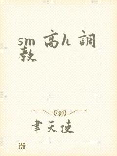 sm 高h 调教
