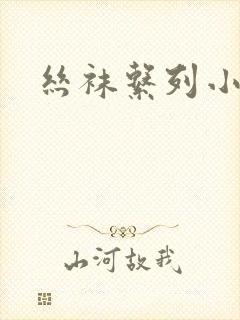 丝袜系列小说封面