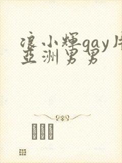 浪小辉gay片亚洲男男