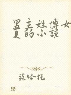 男主姓傅女主姓夏的小说