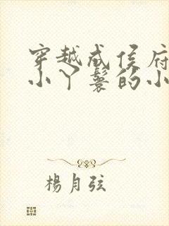 穿越成侯府三等小丫鬟的小说