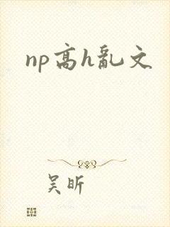 np高h乱文封面