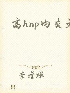 高hnp肉爽文