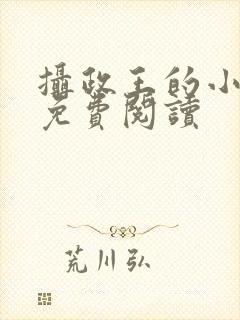 摄政王的小宠妃免费阅读