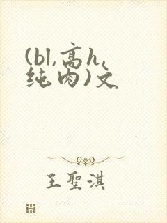 (bl,高h,纯肉)文
