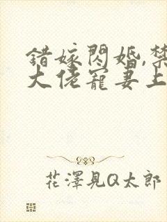 错嫁闪婚,禁欲大佬宠妻上瘾