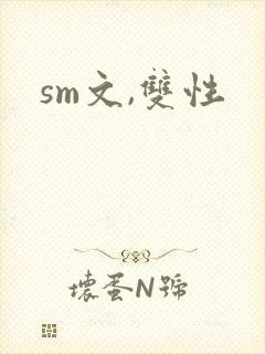sm文,双性