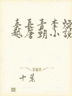 秦长青李焕儿穿越唐朝小说书名叫什么