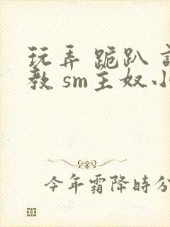 玩弄 跪趴 调教 sm主奴小说封面