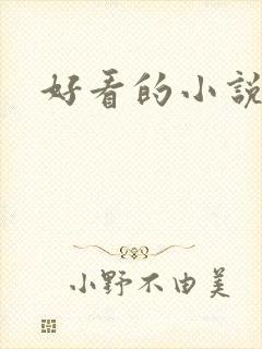 好看的小说h