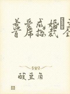 惹爱成婚·染指首席总裁 全文阅读