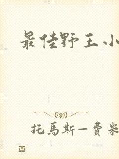 最佳野王小说封面