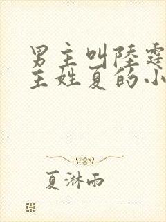 男主叫陆霆琛女主姓夏的小说