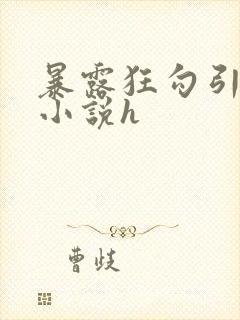 暴露狂勾引短篇小说h