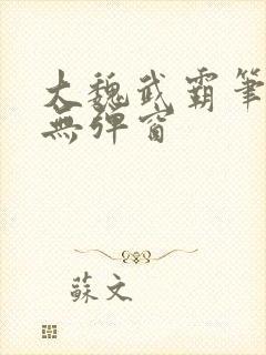 大魏武霸笔趣阁无弹窗