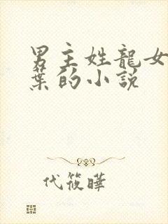 男主姓龙女主姓叶的小说