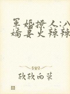 军婚撩人:八零娇妻火辣辣