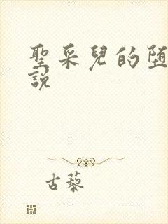 圣采儿的堕落小说封面