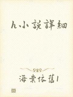 h小说详细封面