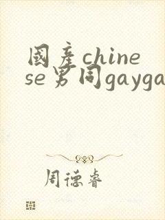 国产chinese男同gaygay网站