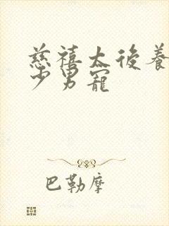 慈禧太后养了多少男宠