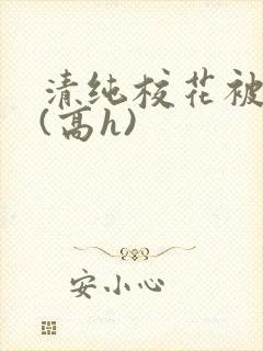 清纯校花被调教(高h)