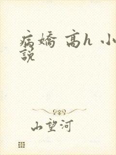 病娇 高h 小说