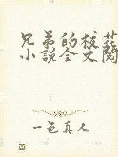 兄弟的校花女友小说全文阅读