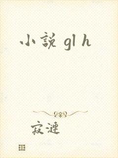 小说 gl h