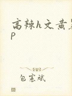 高辣h文黄暴np
