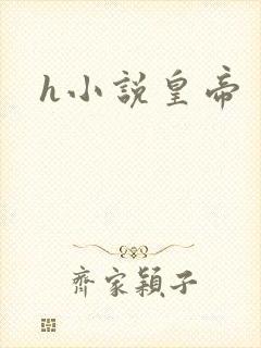 h小说皇帝