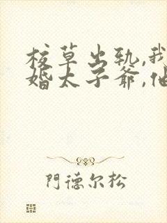 校草出轨,我闪婚太子爷,他疯了免费阅读小说